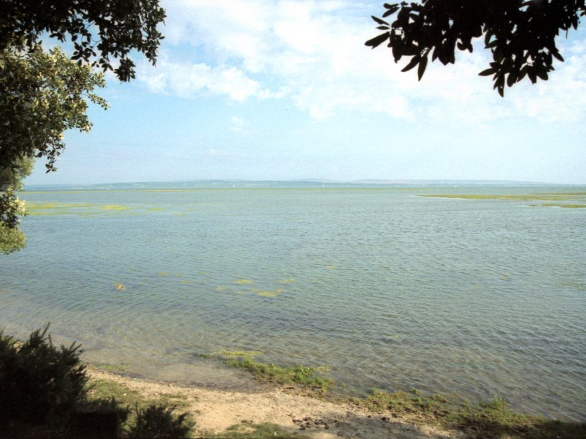 The Salt Marshes at high tide, New Forest, Hampshire, England, Great Britain