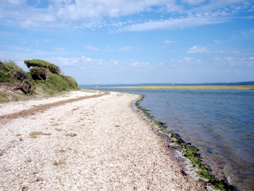 The Beach at Pylewell, New Forest, Hampshire, England, Great Britain