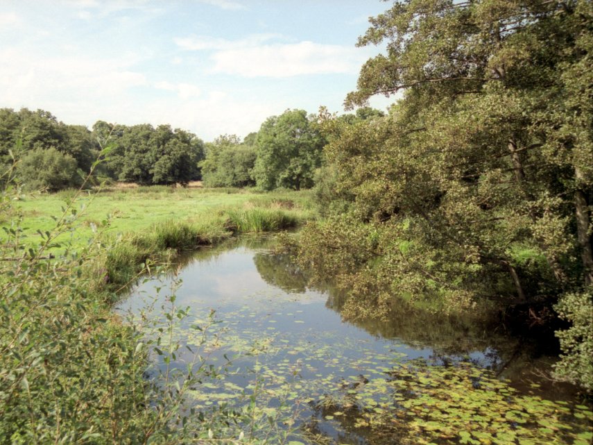 The Lymington River, New Forest, Hampshire, England, Great Britain