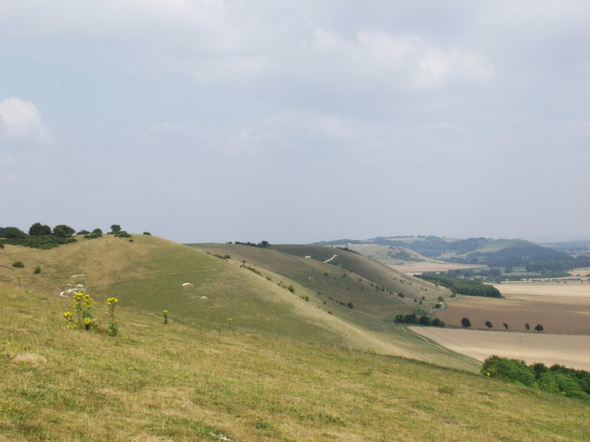 Photograph of Pewsey Downs from Knap Hill, Wiltshire, England - Landscapes