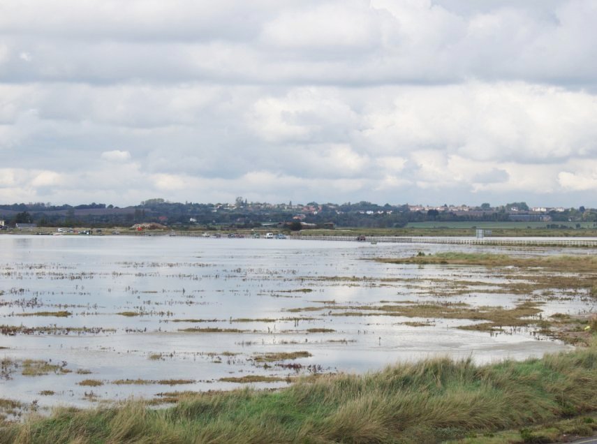 The Essex Marshes at Mersea Island, Essex, England, Great Britain