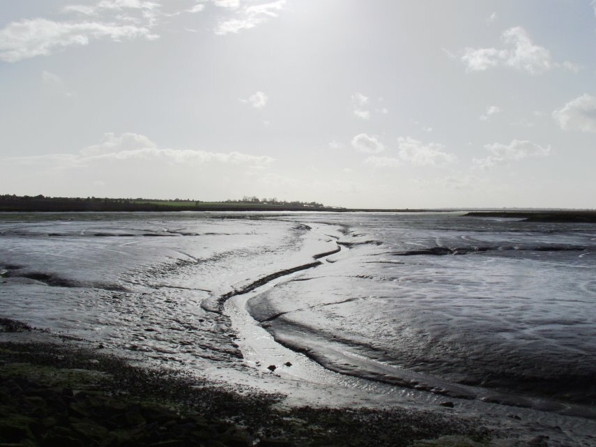 The Essex Marshes, Mersea Island, Essex, England