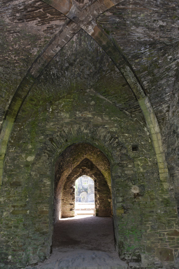 A Vaulted Ceiling, Neath Abbey, Neath, Glamorgan