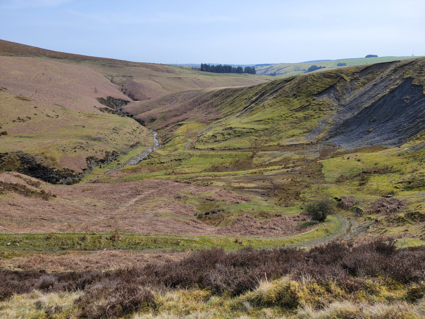 The Ring, near Newtown, Radnorshire