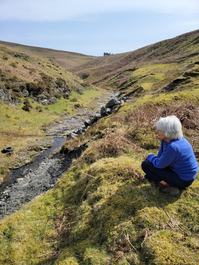 The River Teme in the Ring, near Newtown, Radnorshire