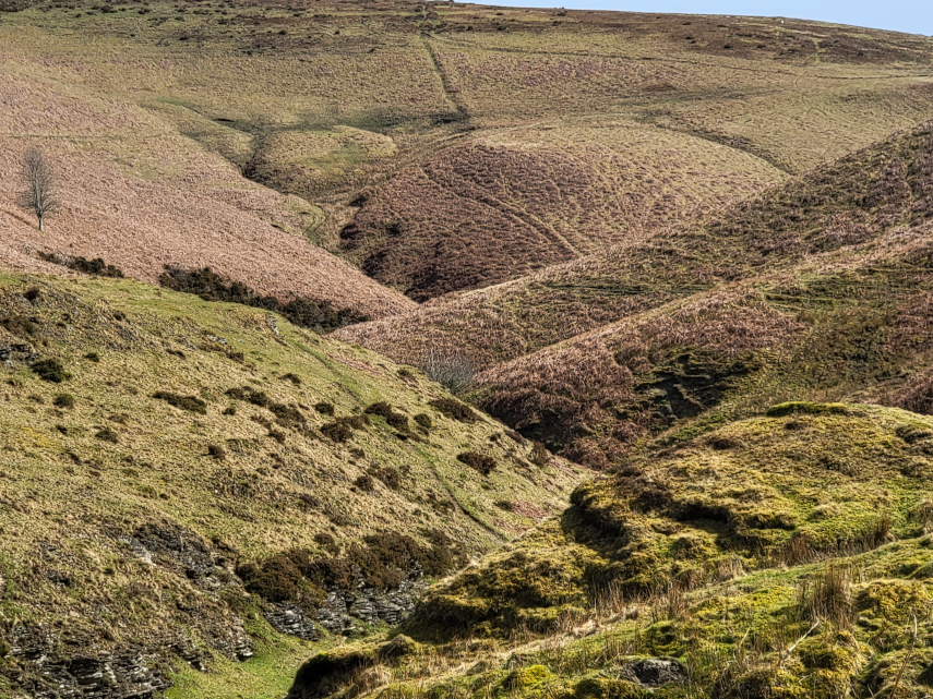 The River, the Ring, near Newtown, Radnorshire