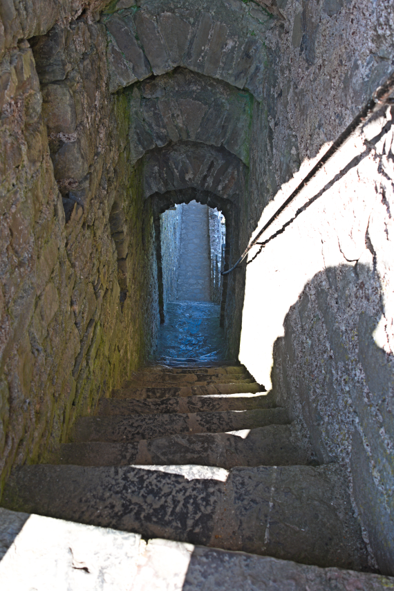 In the walls, Pembroke Castle, Pembroke, Pembrokeshire, Wales