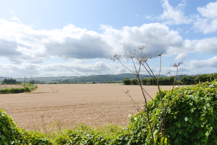 Countryside view, Presteigne, Radnorshire, Wales