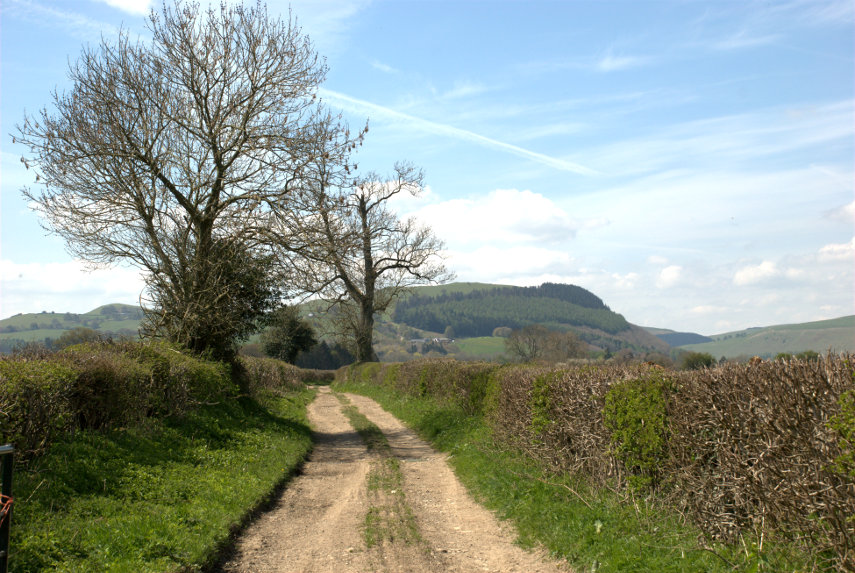 View of a Byeway, Radnor Forest, Radnorshire