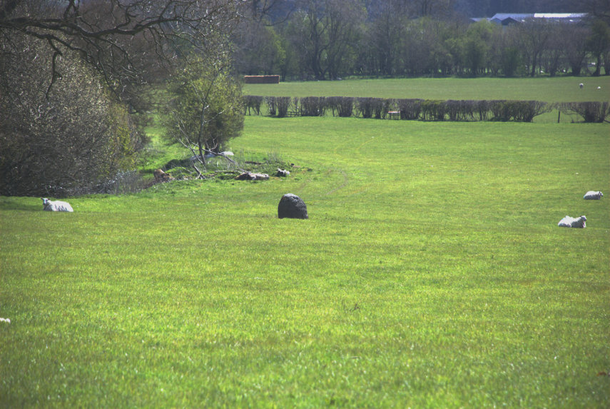A solitary standing stone, Radnor Forest, Radnorshire