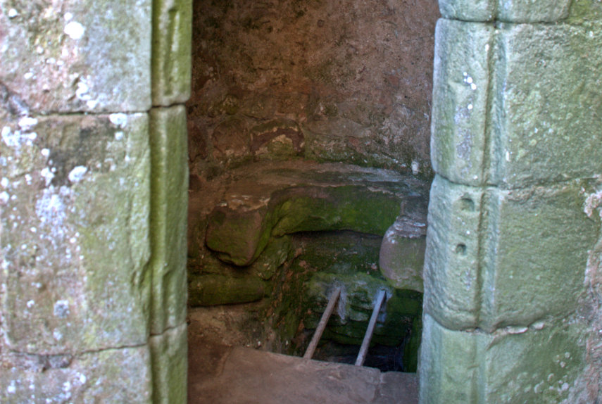 Garderobe (Toilet), Raglan Castle, Monmouthshire, Wales, Great Britain