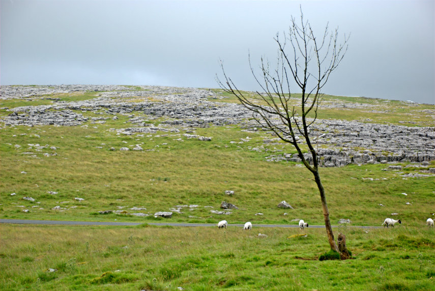 Little Asby Scar, Ravenstonedale, Cumbria, England, Great Britain