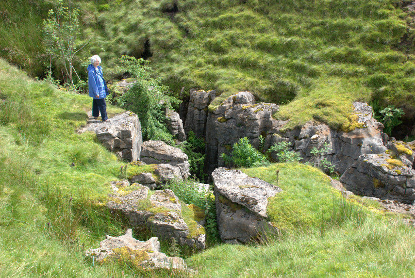 A Shake Hole, Lamps Moss, Cumbria, England, Great Britain