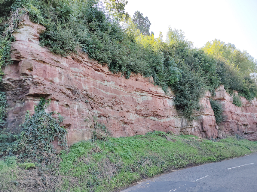 Old Red Sandstone cliff, Ross-on-Wye.