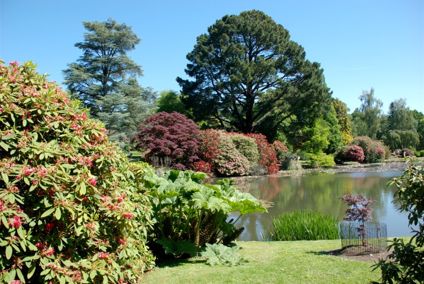 Gardens - Picture of Sheffield Park Gardens