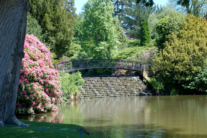One of the Cascades, Sheffield Park Gardens, Sheffield Park, Sussex, England, Great Britain