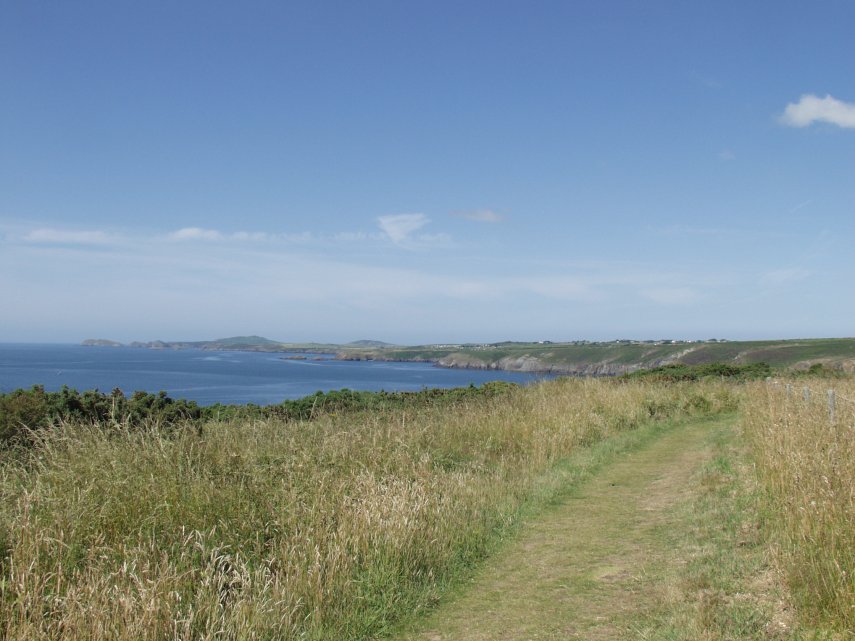 An easy stretch of Coastal Path, Solva Harbour, St. David's, Pembrokeshire, Wales, Great Britain