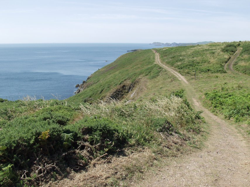 The path on the cliff top, Solva, St. David's, Pembrokeshire, Wales, Great Britain