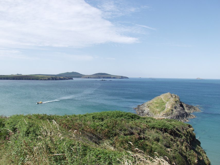 On the coast path, Whitesands, St. David's, Pembrokeshire, Wales, Great Britain