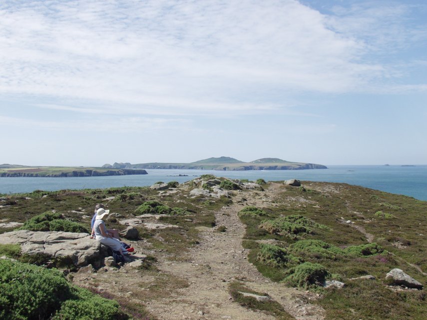 On a small headland, Porthmelgan Bay, St. David's, Pembrokeshire, Wales, Great Britain
