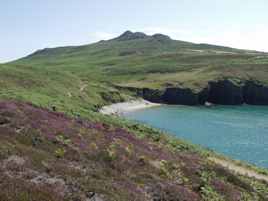 Looking back at Porthmelgan Bay, St. David's, Pembrokeshire, Wales, Great Britain