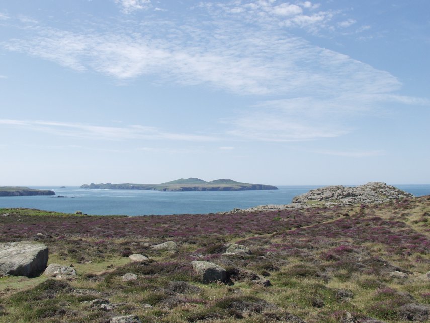 St. David's Head, St. David's, Pembrokeshire, Wales, Great Britain