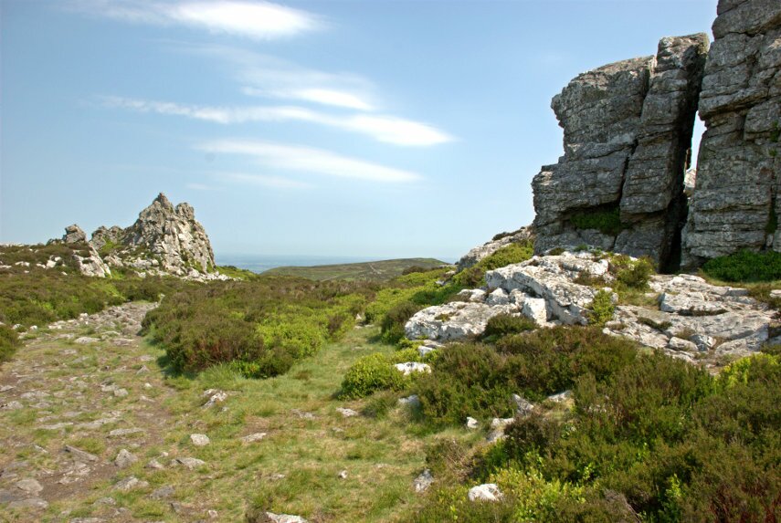 Near the Devil's Chair, Stiperstones, Church Stretton, Shropshire, England, Great Britain