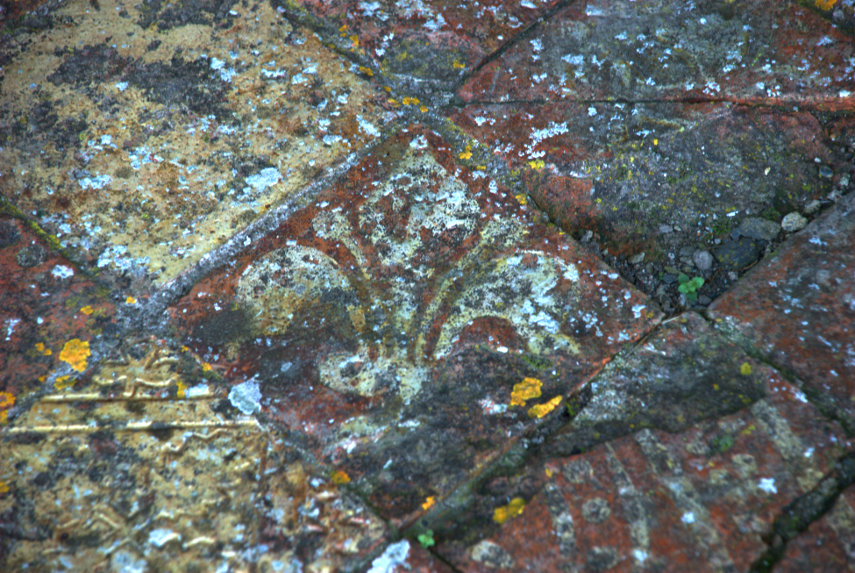 Fleur de Lis emblem on a medieval tile, Strata Florida Abbey, Ceredigion, Wales