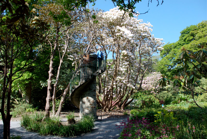 Clyne Gardens, Swansea, Glamorgan