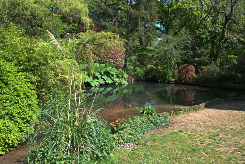 The pond near the Japanese Bridge, Clyne Gardens, Swansea, Glamorgan
