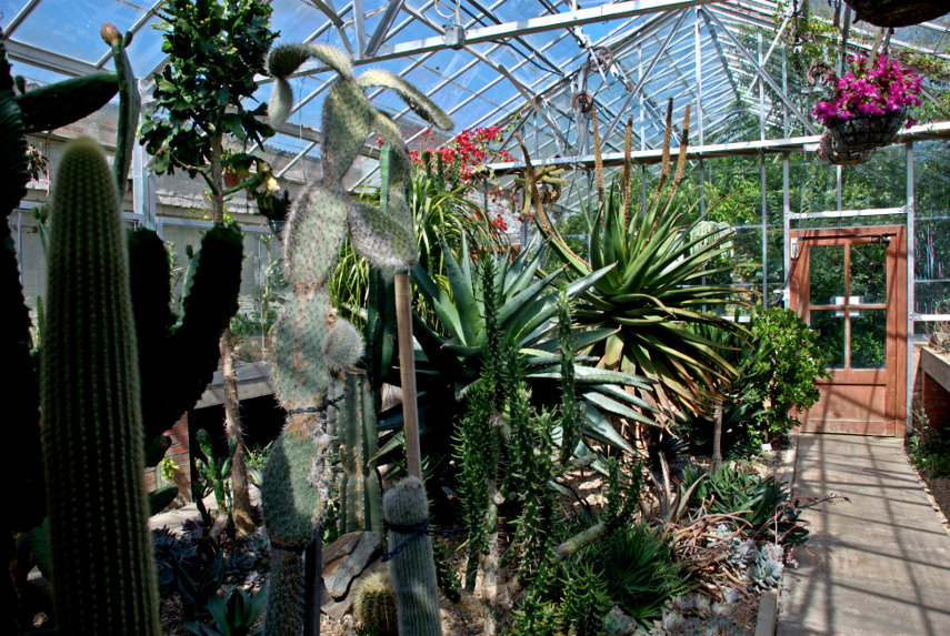 Cactus House, Singleton Gardens, Swansea, Glamorgan