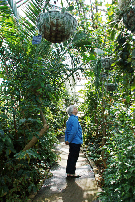 Temperate House, Singleton Gardens, Swansea, Glamorgan