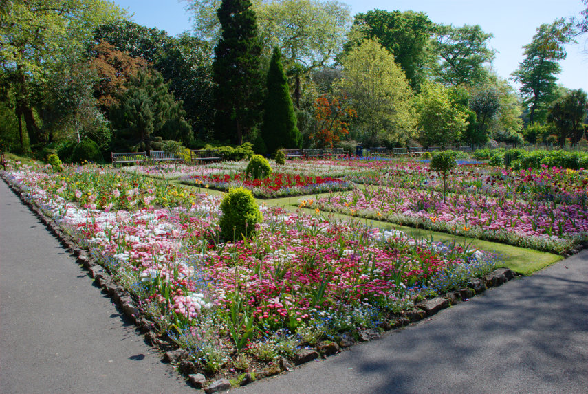 Gardens - Picture of Singleton Gardens