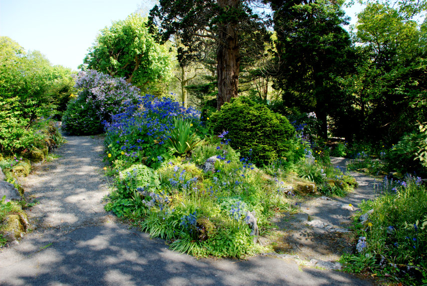 Informal areas, Singleton Gardens, Swansea, Glamorgan
