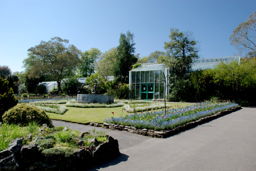 Greenhouses, Singleton Gardens, Swansea, Glamorgan