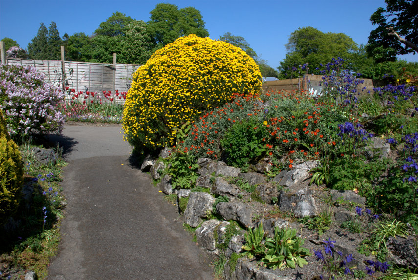 A variety of flowers, Singleton Botanic Gardens, Swansea, Glamorgan, Wales, Great Britain