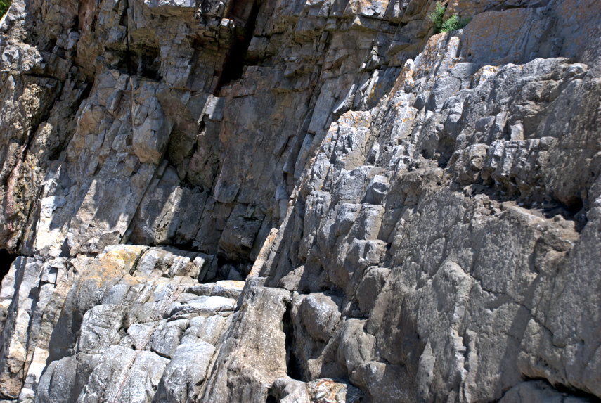 near vertical limestone strata, Limeslade Bay, Mumbles, Swansea, Glamorgan, Wales, Great Britain