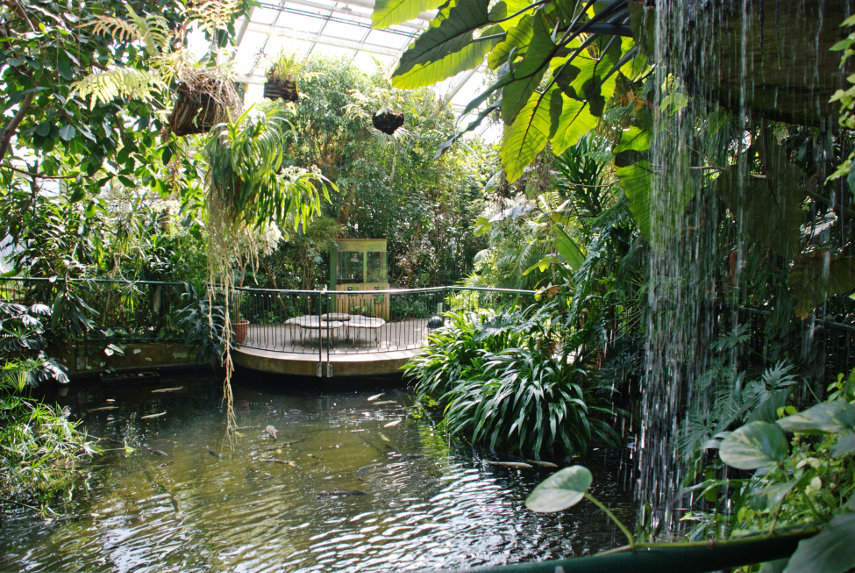 Plantasia, Swansea, Glamorgan