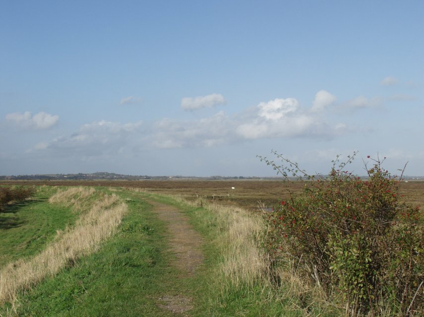The Essex Marshes, Tollesbury, Essex, England