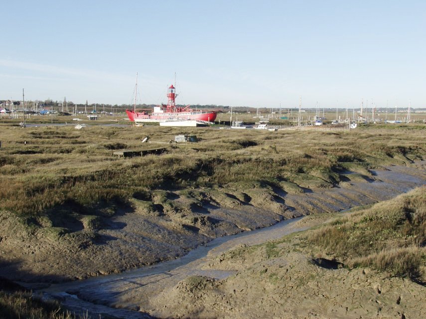 View from the Sea Wall, Tollesbury, Essex, England, Great Britain