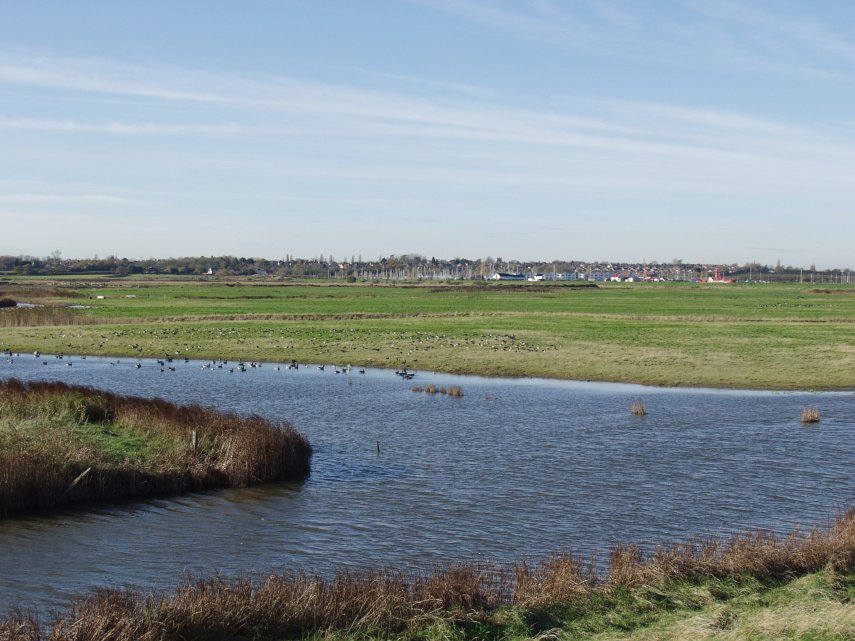 Further along the Sea Wall, Tollesbury, Essex, England, Great Britain