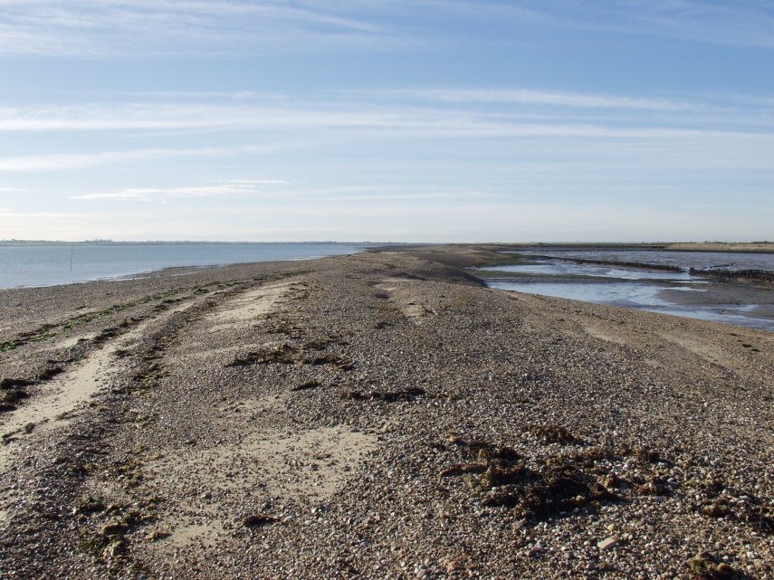 At Shinglehead Point, Tollesbury, Essex, England, Great Britain