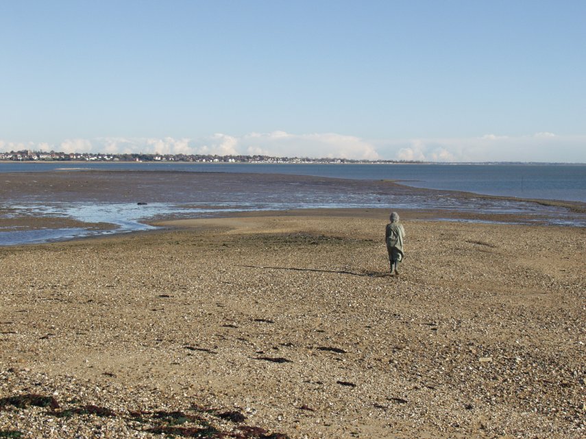 The Shingle Bank, Tollesbury, Essex, England, Great Britain