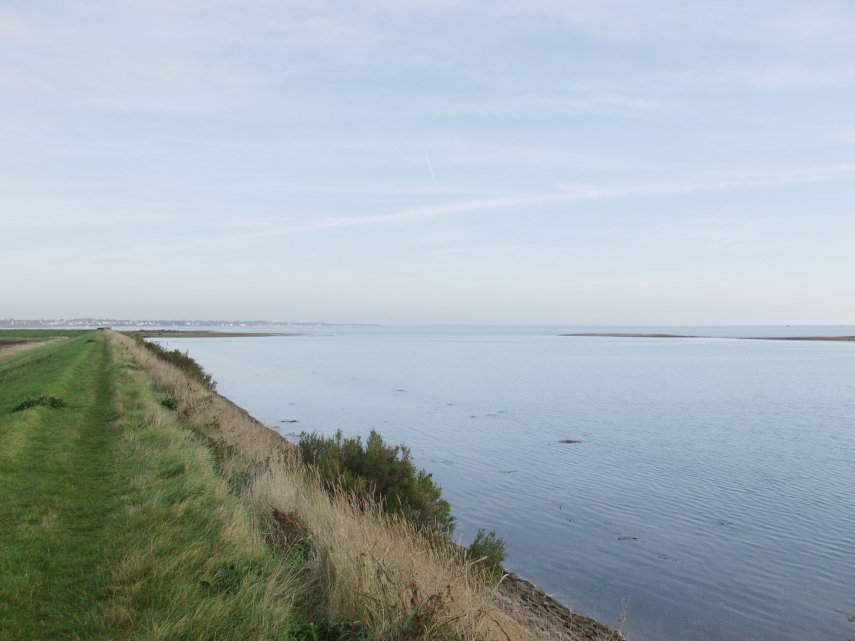 The Essex Marshes, Tollesbury, Essex, England, Great Britain