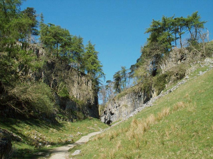 View of a footpath through Trowgill, Yorkshire Dales, England