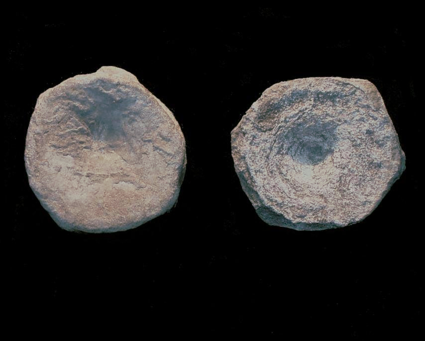 Photograph of Ichthyosaur Vertebrae, Robin Hood's Bay, North Yorkshire, England