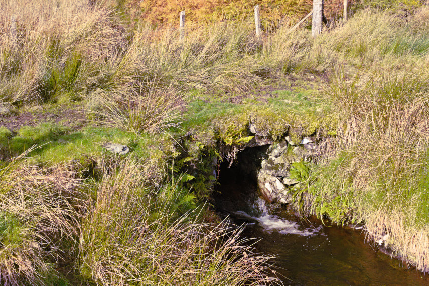 The Medieval Bridge, Lake Vyrnwy, Mongomeryshire