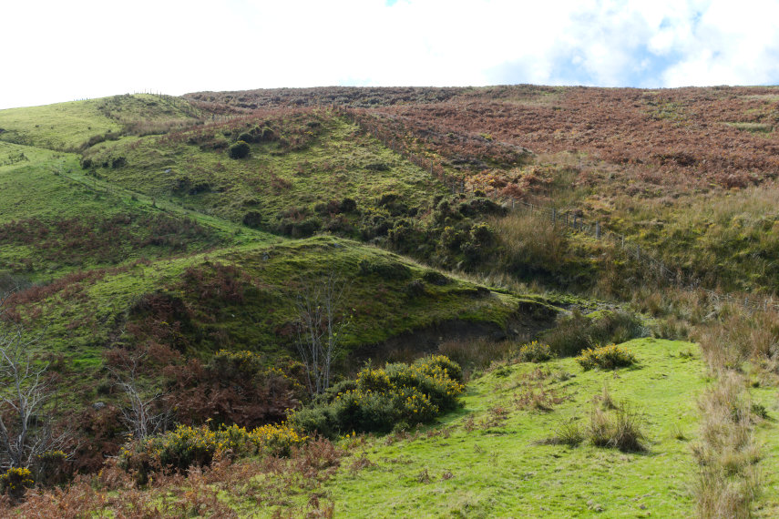 The Hospitium track and bridge, Lake Vyrnwy, Mongomeryshire