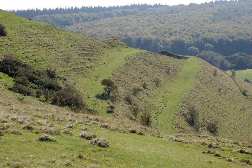 Strip Lynchets, Cley Hill, Wiltshire, England, Great Britain