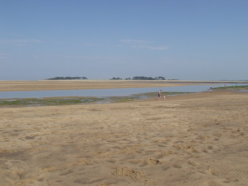 Scene of the beach, Wells-next-the-Sea, Norfolk, England